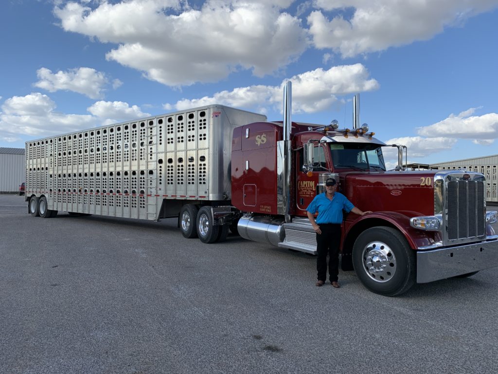 Cattle Hauling Safety Standards & Best Practices Capitol Land & Livestock
